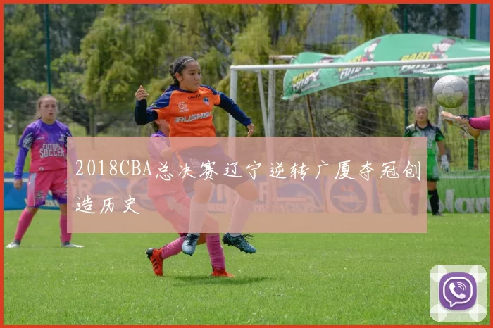 2018CBA总决赛辽宁逆转广厦夺冠创造历史