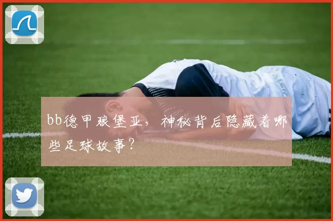 bb德甲狼堡亚,神秘背后隐藏着哪些足球故事?