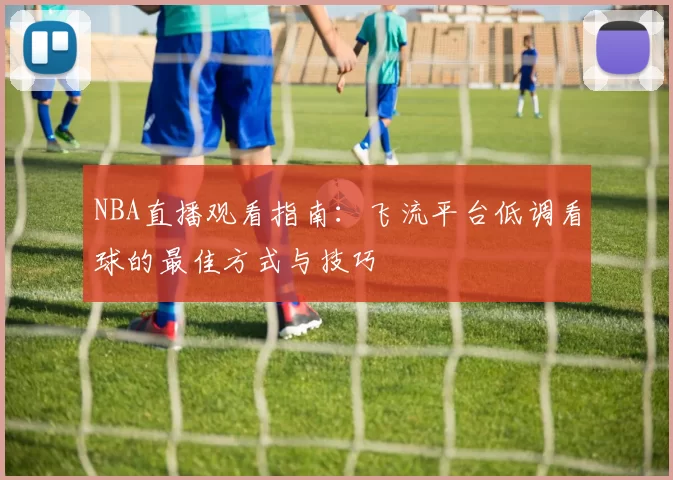 NBA直播观看指南：飞流平台低调看球的最佳方式与技巧