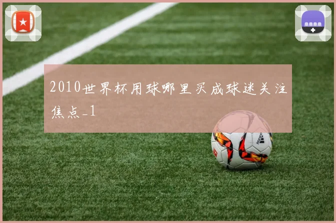 2010世界杯用球哪里买成球迷关注焦点_1