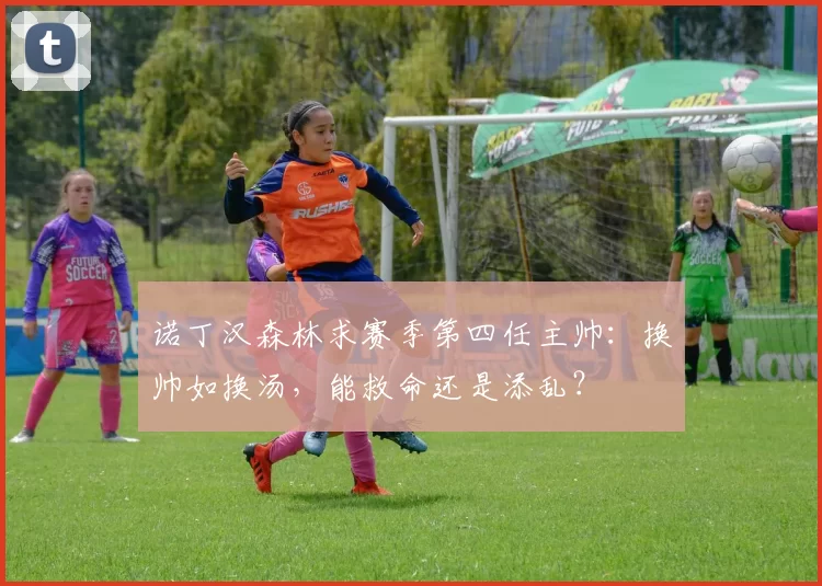 诺丁汉森林求赛季第四任主帅:换帅如换汤,能救命还是添乱?