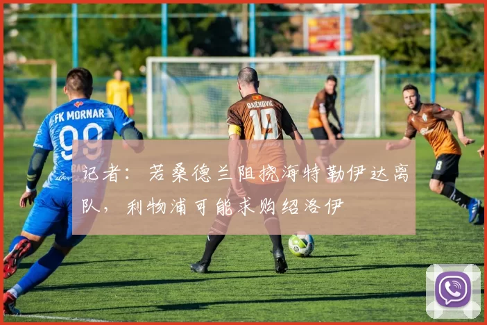 记者:若桑德兰阻挠海特勒伊达离队,利物浦可能求购绍洛伊