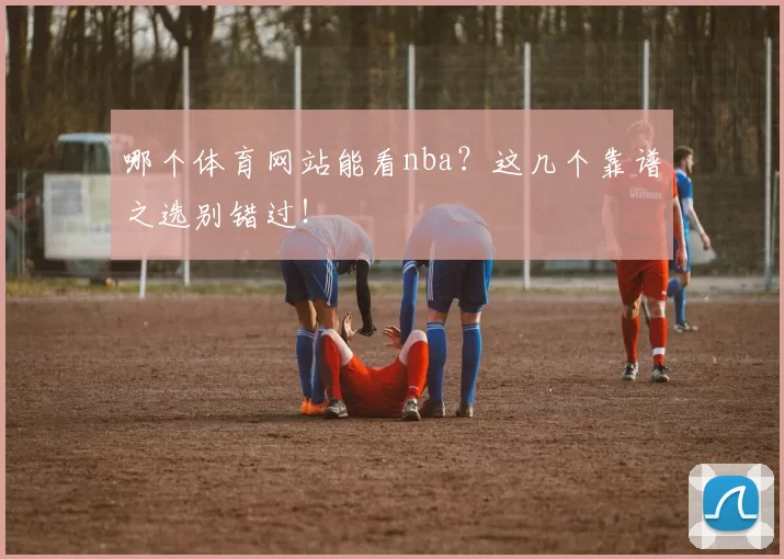 哪个体育网站能看nba?这几个靠谱之选别错过!