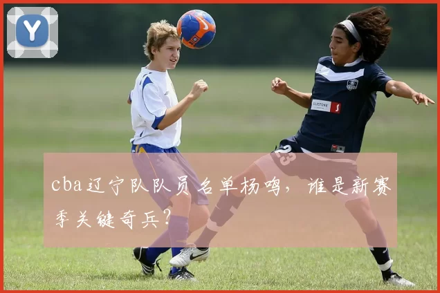 cba辽宁队队员名单杨鸣,谁是新赛季关键奇兵?