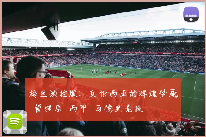 梅里顿控股:瓦伦西亚的辉煌梦魇_管理层_西甲_马德里竞技