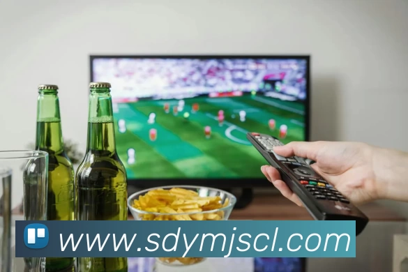 多媒体互动体验